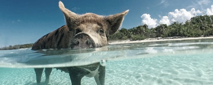Ile czasu zajmuje lot na Bahamy? Trasa, przesiadki i realny czas podróży