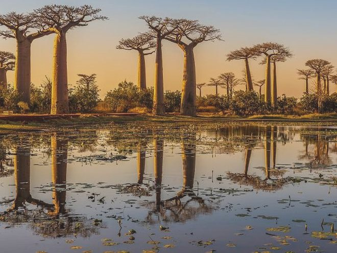Ile trwa lot na Madagaskar? Czas podróży i przesiadek