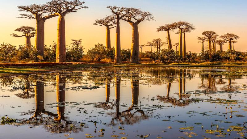 Czas podróży na Madagaskar