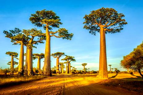 Lot na Madagaskar