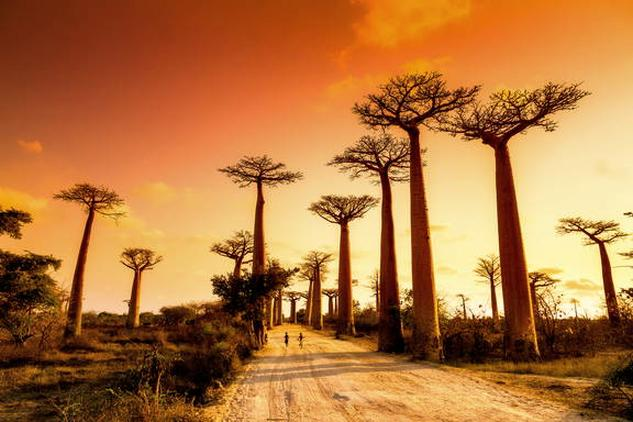Podróż samolotem na Madagaskar