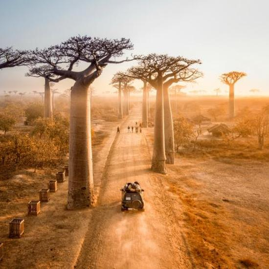 Przesiadki w drodze na Madagaskar